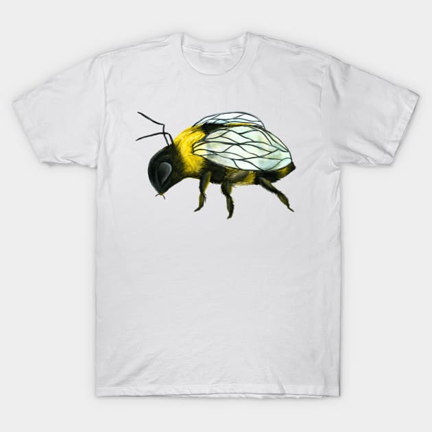 Watercolour Bumblebee T-Shirt by LeighsDesigns